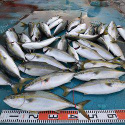 アジアマリンサービス 釣果