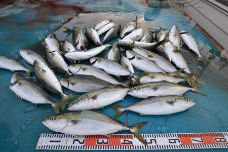 アジアマリンサービス 釣果