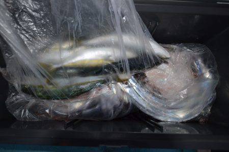 アジアマリンサービス 釣果