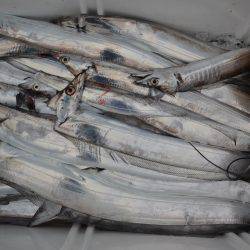 アジアマリンサービス 釣果