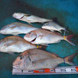 アジアマリンサービス 釣果