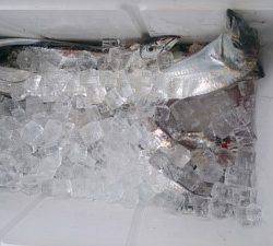 武士(SAMURAI) 釣果