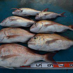 アジアマリンサービス 釣果