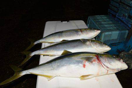 ハピネスⅡ 釣果