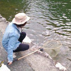 フィッシングエリア帝釈 釣果