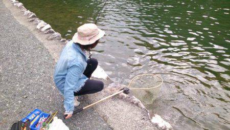 フィッシングエリア帝釈 釣果