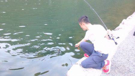 フィッシングエリア帝釈 釣果