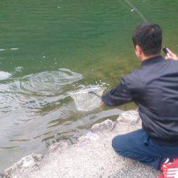 フィッシングエリア帝釈 釣果