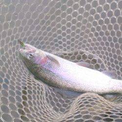 フィッシングエリア帝釈 釣果