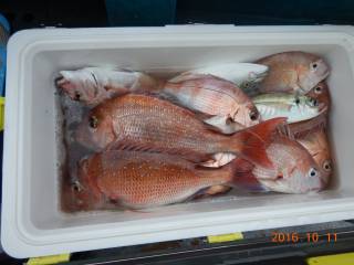 作十丸 釣果
