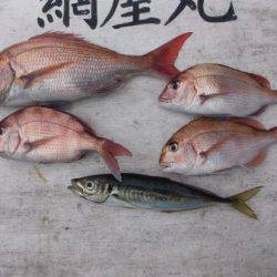 網屋丸 釣果