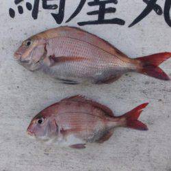 網屋丸 釣果