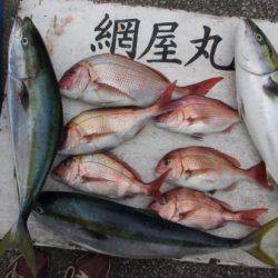 網屋丸 釣果