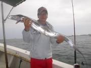 おおせき丸 釣果