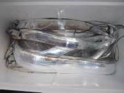 おおせき丸 釣果