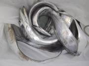 おおせき丸 釣果