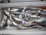 おおせき丸 釣果