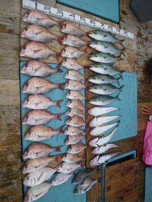 磯部釣船 直栄丸 釣果