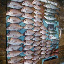 磯部釣船 直栄丸 釣果