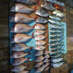 磯部釣船 直栄丸 釣果