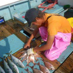 磯部釣船 直栄丸 釣果