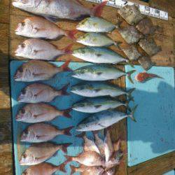 磯部釣船 直栄丸 釣果