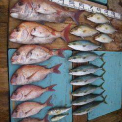 磯部釣船 直栄丸 釣果