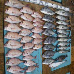 磯部釣船 直栄丸 釣果