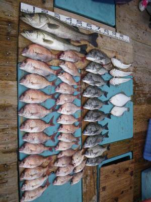 磯部釣船 直栄丸 釣果