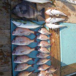 磯部釣船 直栄丸 釣果