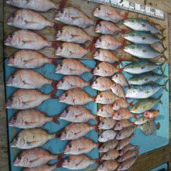 磯部釣船 直栄丸 釣果