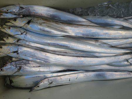 アジアマリンサービス 釣果