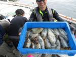 山本丸 釣果