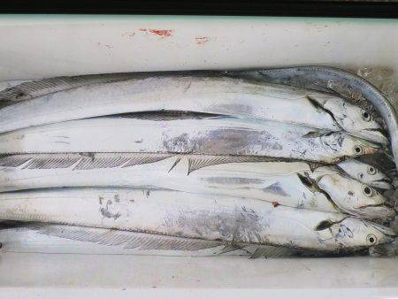 アジアマリンサービス 釣果