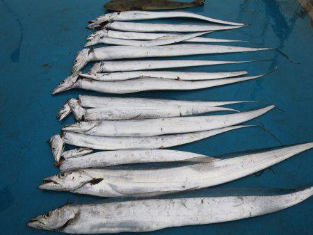 アジアマリンサービス 釣果