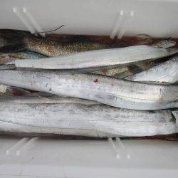 アジアマリンサービス 釣果