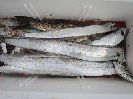 アジアマリンサービス 釣果