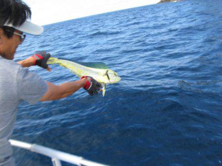 Aquanaut(アクアノート) 釣果