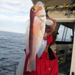 Aquanaut(アクアノート) 釣果