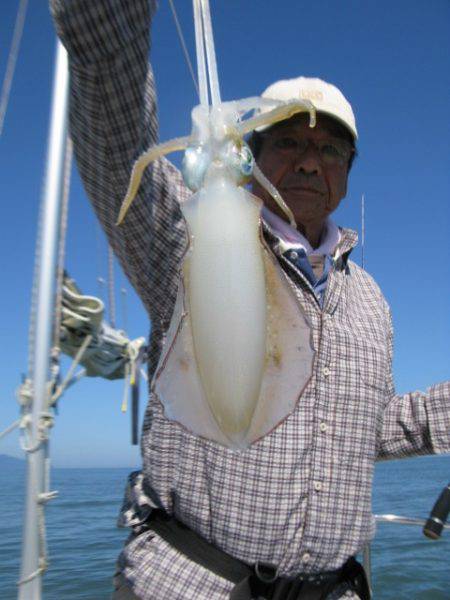 Aquanaut(アクアノート) 釣果