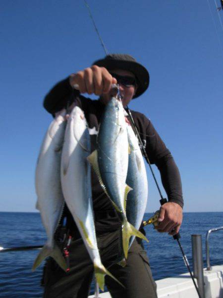 Aquanaut(アクアノート) 釣果