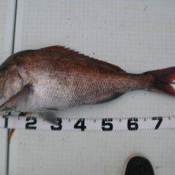 Aquanaut(アクアノート) 釣果