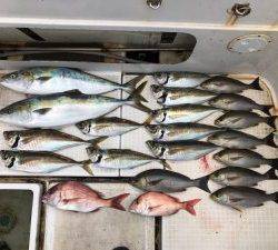 さぶろう丸 釣果