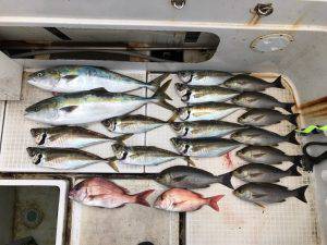 さぶろう丸 釣果