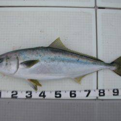 Aquanaut（アクアノート） 釣果