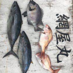 網屋丸 釣果