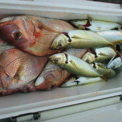 フィッシングガイド とちぎ 釣果