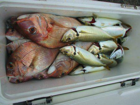 フィッシングガイド とちぎ 釣果