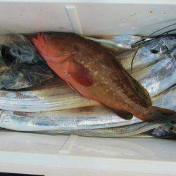 フィッシングガイド とちぎ 釣果