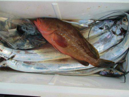 フィッシングガイド とちぎ 釣果